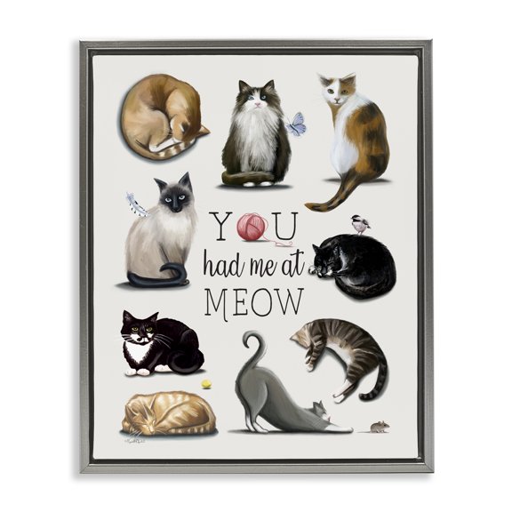 Stupell Industries Cottage You Had Me At Meow Cat Pet Gray Floating Frame Canvas Art, 17 x 21, by Elizabeth Tyndall
