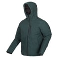 thumbnail image 3 of Regatta - Chaqueta Impermeable Colehurst para Hombre (Aguilones Verdes) Regatta UTRG8256_greengables, 3 of 4
