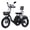 Black, variant on Narrak Electric Tricycle for Adults Seniors, 750W Fat Tire 3 Wheel E-Trike, 48V 13Ah UL 2849 Battery, 55-Mile Max Range, Semi-Recumbent Step-Through Adult Trike with 3 Hydraulic Brakes & Dual Baskets