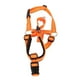 thumbnail image 5 of Bozal para perro con cuello de cabeza bozal ajustable resistente a los tirones para cabeza de perro para caminar ANGGREK  Otros, 5 of 8