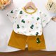 thumbnail image 2 of Odeerbi 3M-6Y Niños Trajes de Verano Estampado de Dinosaurios Camiseta de Algodón de Manga Corta Pantalones Cortos Conjunto de Dos Piezas Cintura Elástica, 2 of 5
