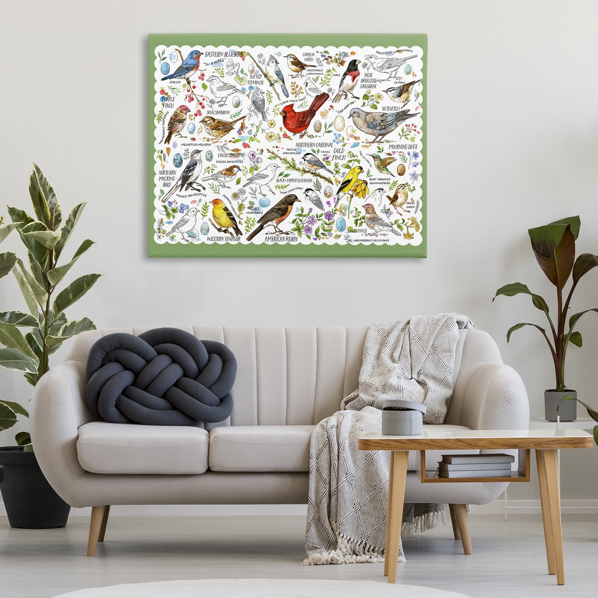 Stupell Industries Various Bird Species Animals & Insects Painting Gallery Wrapped Canvas Art Print Wall Art, 48 x 36
