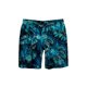 thumbnail image 2 of Txlixc Pantalones cortos de playa para hombres con cintura elástica, impresión hawaiana suelta Txlixc moda, 2 of 4