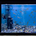 thumbnail image 4 of unbranded Adaptador Para De Acuario Con Control De Ajustable Y Instalación Rápida, 4 of 6