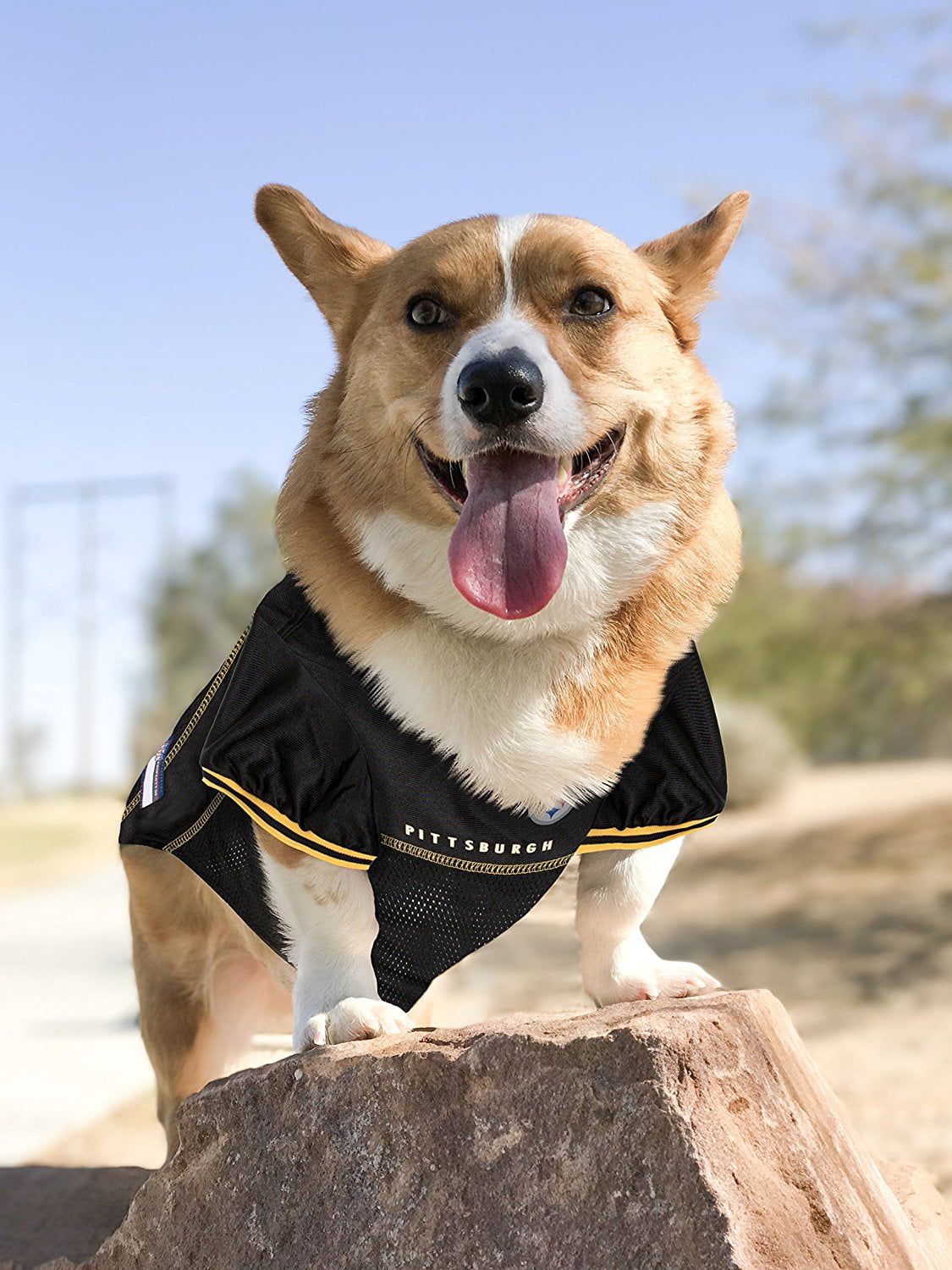 Pets First NFL Pittsburgh SteelersLicensed Mesh Jersey for Dogs and Cats - Medium