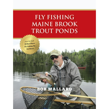 Fly Fishing Maine Brook Trout Ponds - eBook