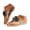 Beige, variant on Mostsola Flip Flops for Women Bow Sandals Slip on Flats Shoes Non-Slip Beach Shoes Thong Sandals