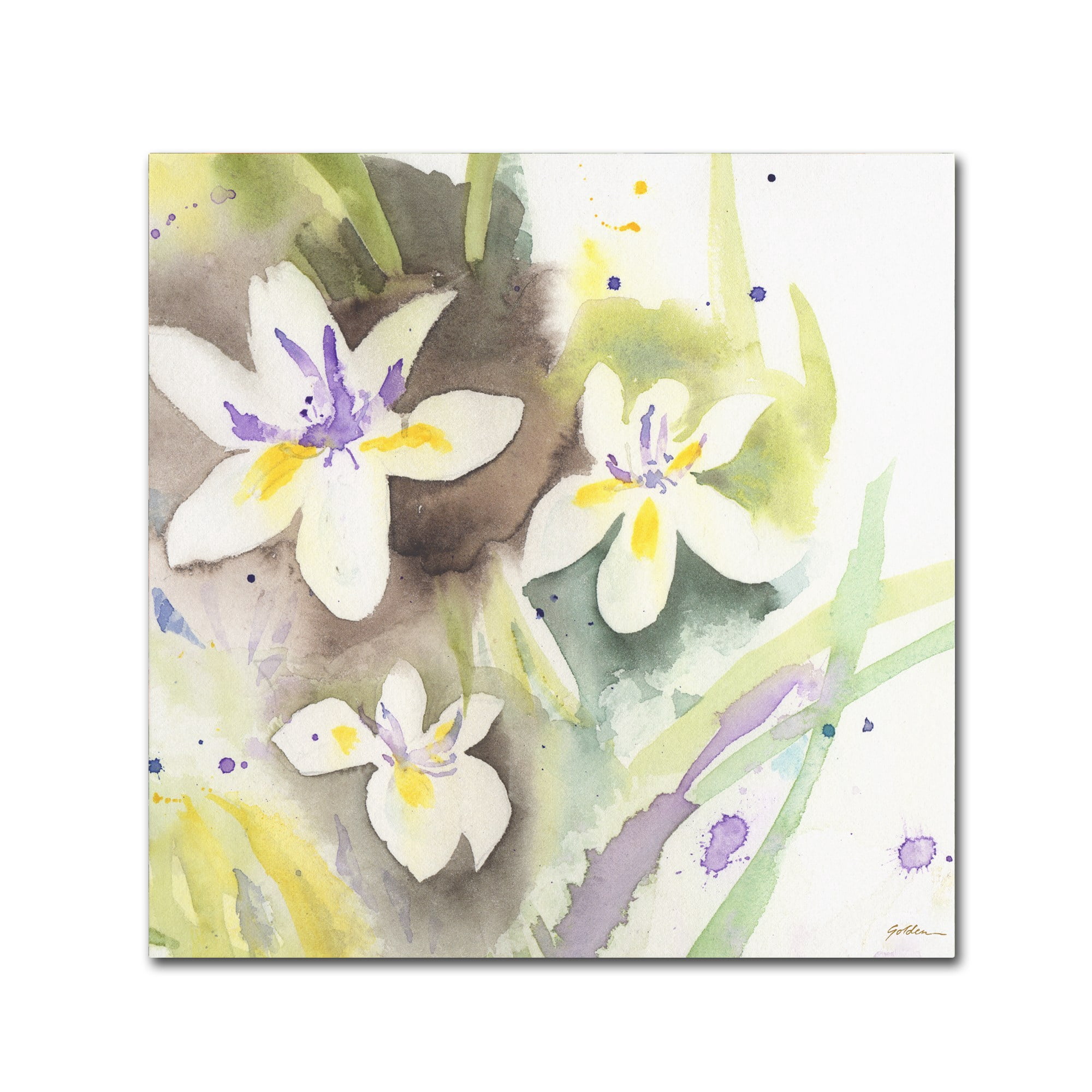Trademark Fine Art "White Iris" Canvas Art by Sheila Golden