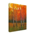thumbnail image 2 of Trademark Fine Art 'Changing Colors I' Canvas Art by Tim OToole, 2 of 4