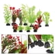 thumbnail image 2 of 11 piezas de plantas de acuario, plantas de pecera, decoraciones realistas para peceras, plantas de decoración para acuarios., 2 of 5