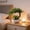 A, variant on 7.87 x 7.87 in Artificial Potted Plant, Realistic Simulation Flower Bonsai Fake Plants for Home Living Room Bathroom Bookshelf Entryway Table Wall Shelf Modern Farmhouse Decor(C)