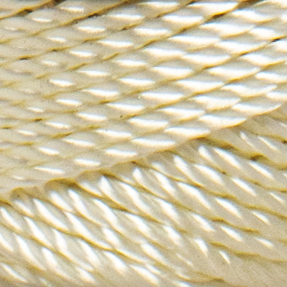 Team Catfish Power Twine 300ft 72lb test white