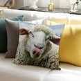 thumbnail image 3 of BANET  Pillowcase Funny Sheep Showing Tongue Face Portrait  Square,Throw Pillow Covers Decorative for Couch and Bed for Boy Girl 24x24in, 3 of 5