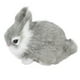 thumbnail image 2 of Conejos de Peluche en Miniatura Sincero Gris 13 x 9 cm, 2 of 10