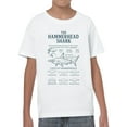 thumbnail image 2 of Hammerhead Shark Types and Traits Youth's T-shirt, 2 of 3