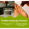 thumbnail image 4 of Té Verde 30 ml, extracto liquido green house, 4 of 5