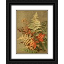 Ellen Fisher 18x24 Black Ornate Framed Double Matted Museum Art Print Titled: Autumn Ferns (1887)