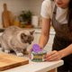 thumbnail image 4 of Abrelatas para gatos: gadget con forma graciosa, abrelatas para uso doméstico, interior, exterior y cocina, para uso diario, 4 of 4