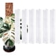thumbnail image 3 of Poses De Musgo De Plástico, Diseño De Plantas De Trepadora De Diseño En Forma De D Plantas De Escalada Interna, 3 of 7
