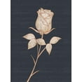 thumbnail image 2 of Gibbons, Lauren 25x32 White Modern Wood Framed Museum Art Print Titled - Flower 1, 2 of 4