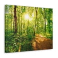 thumbnail image 5 of Green Forest Sunlight Nature Wilderness Photography Canvas Wall Art for Home Decor Ready-to-Hang, 5 of 18