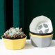 thumbnail image 3 of 2 mini macetas con diseño de pétalos para plantas suculentas, macetas decorativas para el hogar., 3 of 7
