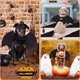 thumbnail image 3 of Disfraz de mascota con alas de murciélago para perro de Halloween con campanas de calabaza para decoraciones de fiesta de Halloween, lindo Collar para perro y gato con forma de murciélago, 3 of 6