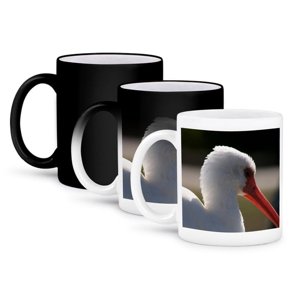 3dRose, ibis head view , 11oz Magic Transforming Mug