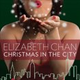 thumbnail image 1 of Christmas in the City, 1 of 1