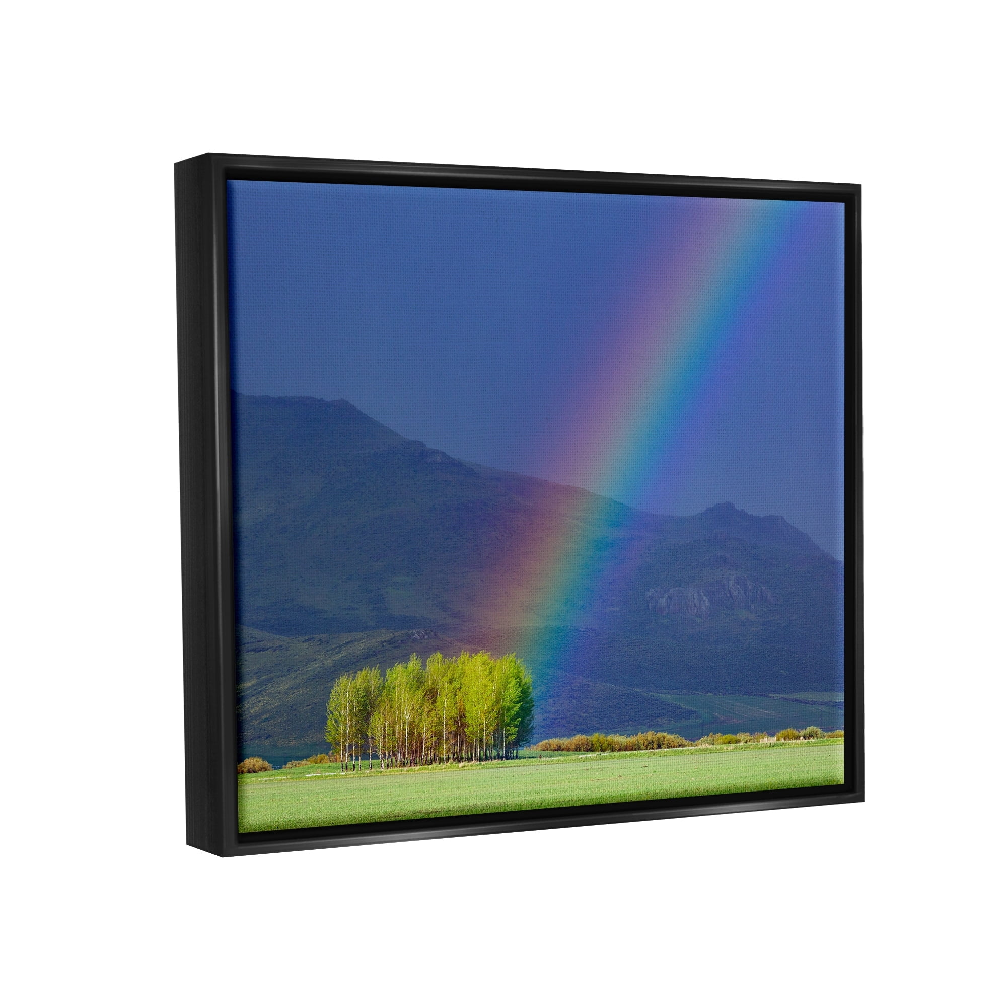 Stupell Industries Uplifting Rainbow Rays Tree Grove Mountain Landscape Photograph Jet Black Floating Framed Canvas Print Wall Art, Design by Steve Smith