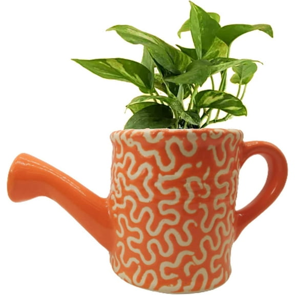 India Meets India Ceramic Planter Watering Can Shaped Indoor Outdoor Planter Handicraft by Awarded Indian Artisan (Orange)