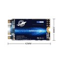 thumbnail image 5 of SSD Dogfish M.2 2242 de 2 TB SATA III 6 Gb/s, 5 of 5