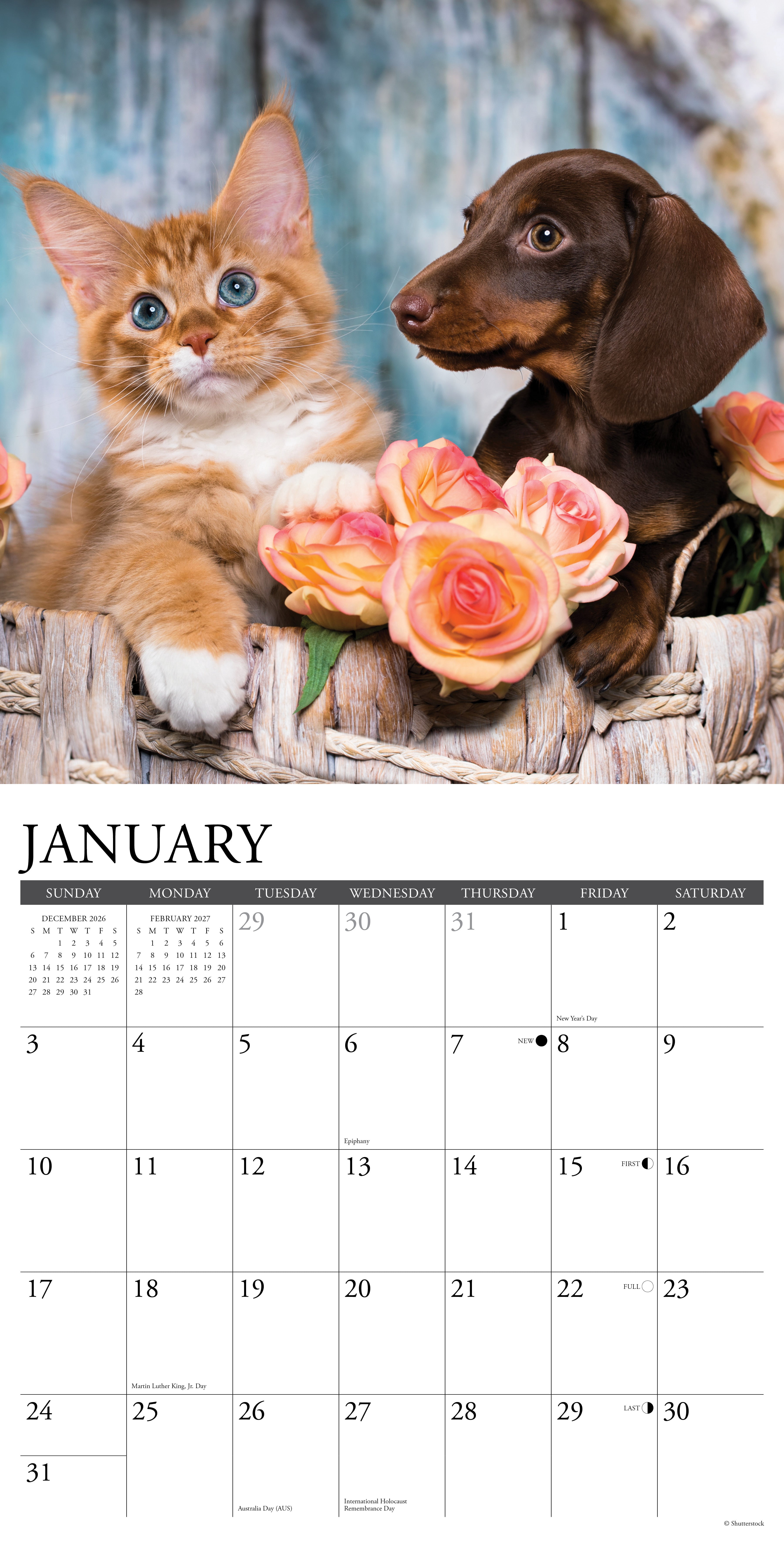 Willow Creek Press, Cats & Dogs 2027 Wall Calendar