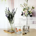 thumbnail image 2 of Enova Home High Quality Rectangle Shape Clear Glass Vase 3.0" W x 8.0" H for Flowers Planter, Floating Candle Holders, Table Decorative & Home Office Décor (One Piece), 2 of 3