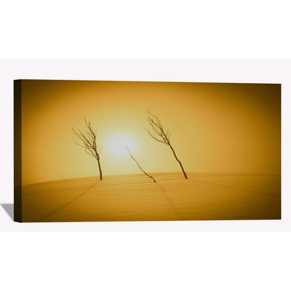 Plants Sunlight Desert Wall Art Desert Sunset Picture Canvas Art Sand Dunes Framed Painting Wall Decor For Home Office Bedroom Livingroom Ready to Hang