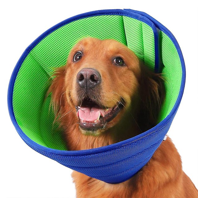 SAILING El cono suave para perros después de la cirugía ayuda a evitar que las mascotas muerdan y protege a su mascota de lesiones