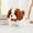 Brown90004, variant on Qiopertar Jouet électrique pour chiot simulation de chien de compagnie jouet pour chien en peluche pour enfants peut marcher, aboyer et se balancer - sa queue moins de 5 $Économisez jusqu'à 90%