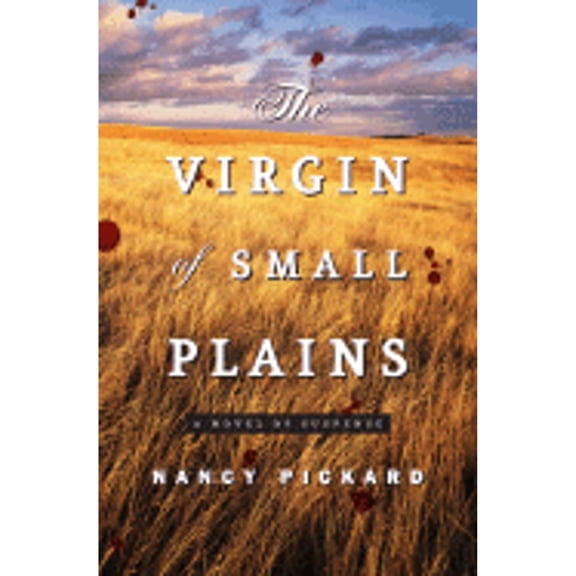 The Virgin of Small Plains : A Novel of Suspense (Hardcover)