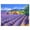 style3, variant on BESTSKY 500 Piece Puzzles for Adults,Nature Puzzle Set 500 Piece Puzzle,Vivid Color Image Jigsaw Puzzle,style2,18*11in