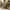 Green, variant on Oversized Accent Chair,Upholstered Living Room Chairs Single Sofa Chair with Walnut Legs,Curved handrail,Green