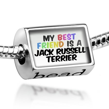 Bead My best Friend a Jack Russell Terrier Dog from England Charm Fits All European (Best Food For Jack Russell Terrier)