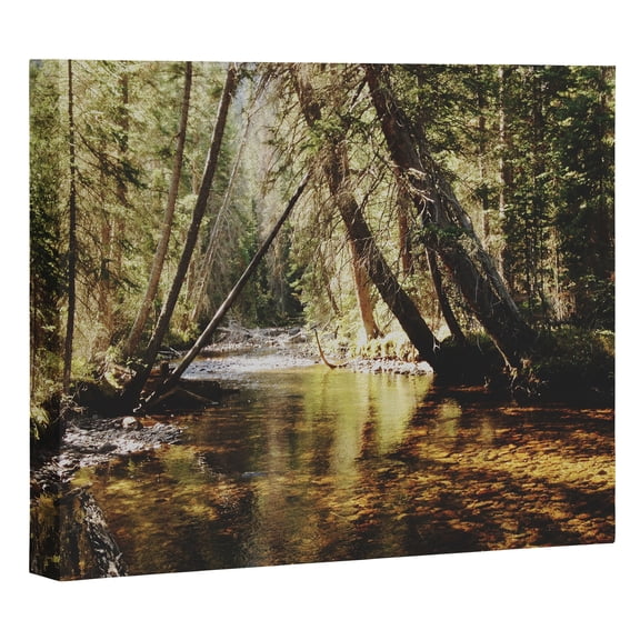 Society6 East Inlet Creek by Kevin Russ Framed Art Canvas