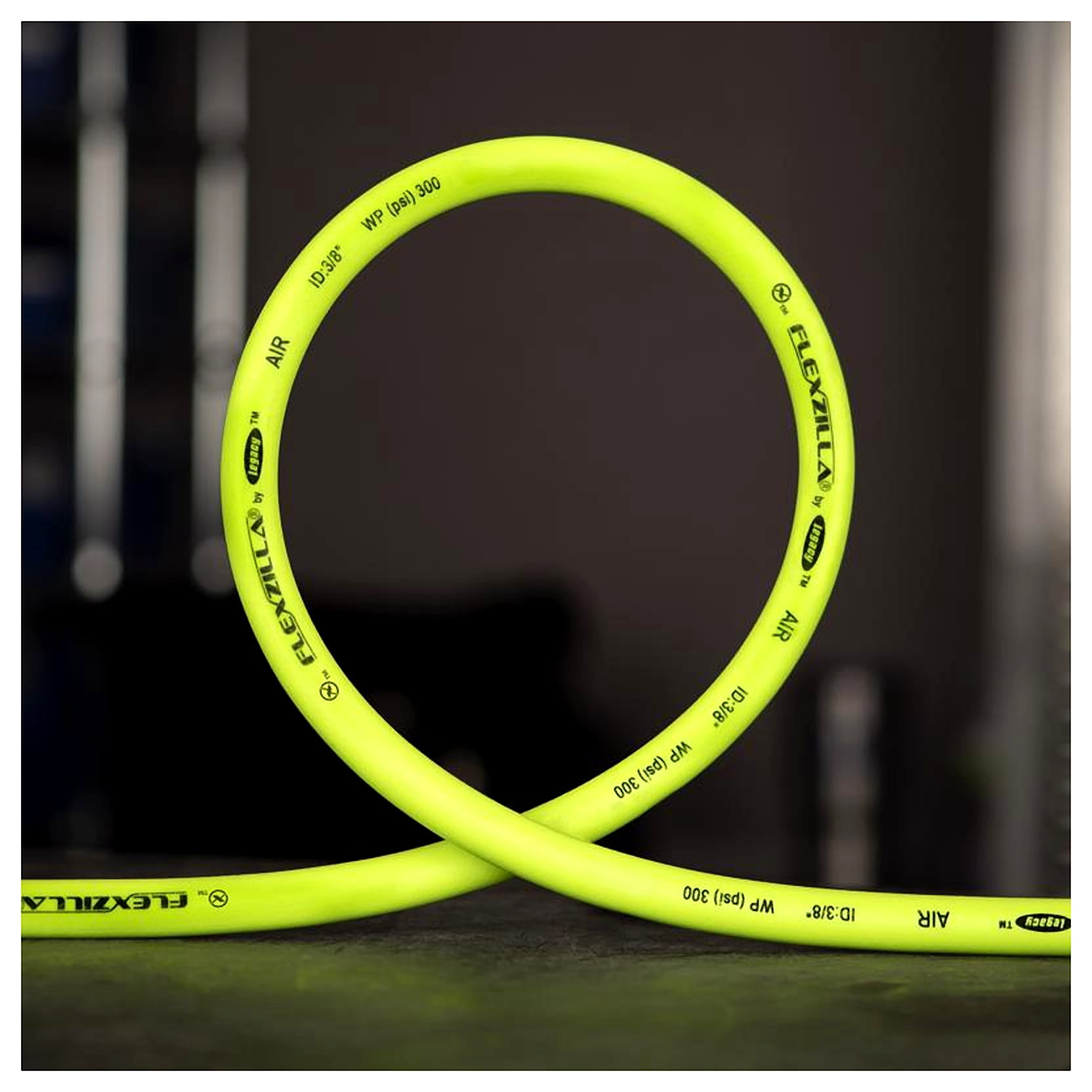 Legacy Manufacturing Flexzilla Pro Air Hose, 3/8" x 50', 1/4" MNPT Fittings