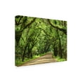 thumbnail image 2 of James McLoughlin 'Canopy Road III' Canvas Art, 2 of 3