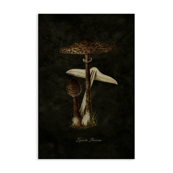 Stupell Industries Dark Woodland Mushroom Plants & Flowers Painting Wrapped Canvas Art Print Wall Art, 16 x 24