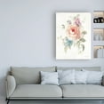 thumbnail image 3 of Trademark Fine Art 'Cottage Garden III' Canvas Art by Danhui Nai, 3 of 3