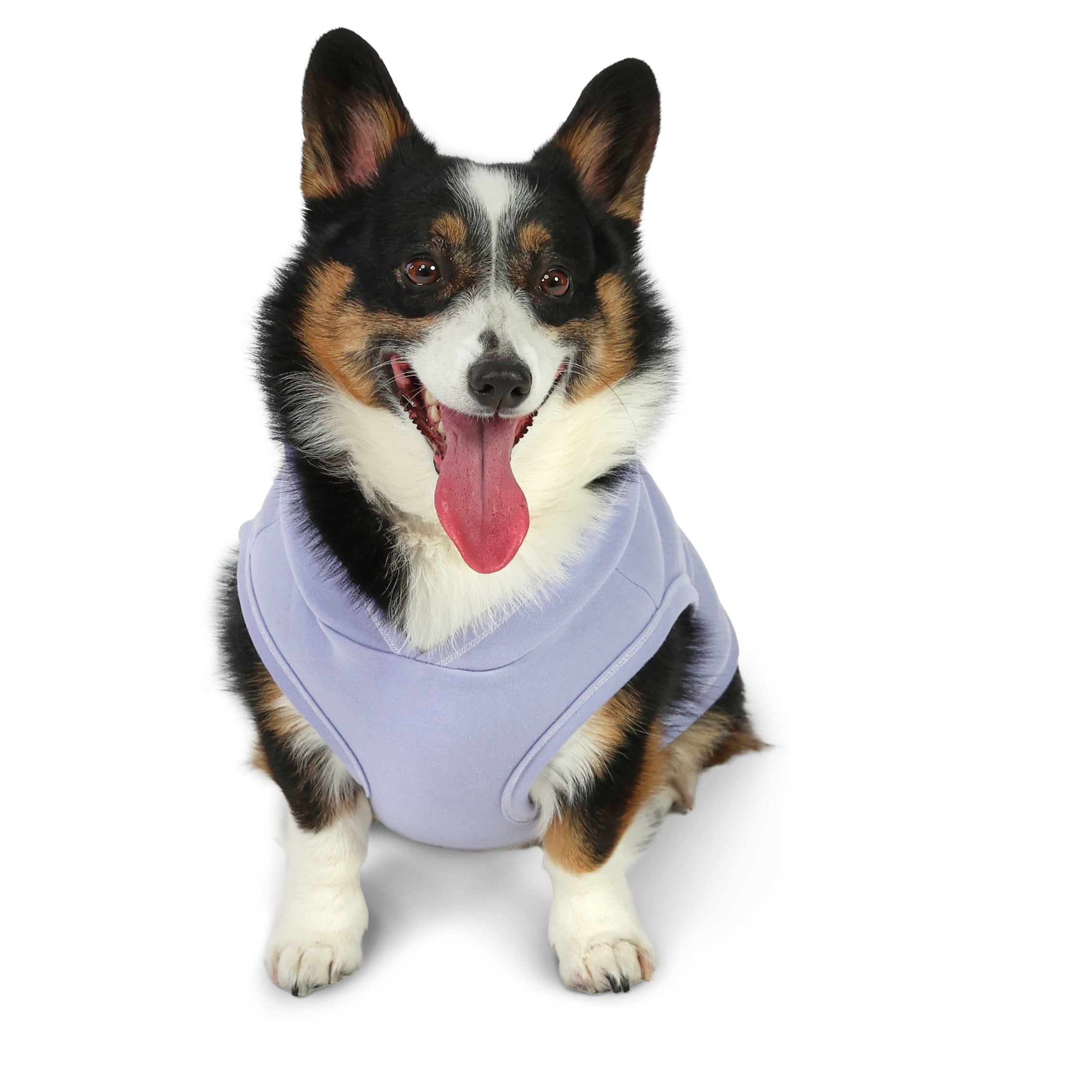 Vibrant Life Easter I'm Just a Baby Hoodie for Dogs, Blue, M