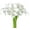 Pure White, variant on 20Pcs Artificial Calla Lily Flower Real Touch Latex Flowers for DIY Wedding Bouquet Party Home Decor (Pure White)