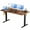 Rust, variant on MCQ 48x24 Inch Electric Standing Desk, Ergonomic Rising Modern Lift Motorized Gaming Desktop Workstation, For Work Home Office, Height Adjustable, Rust