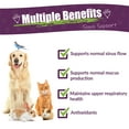 thumbnail image 4 of Amber NaturalZ Pet C&C for Pets | Herbal Support for Sinus & Respiratory Health 4oz, 4 of 6
